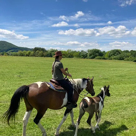 Шале Ranc Pod Sninskym Kamenom