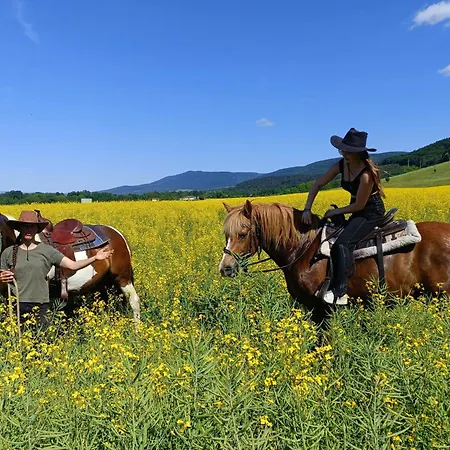 Dağ evi Ranc Pod Sninskym Kamenom