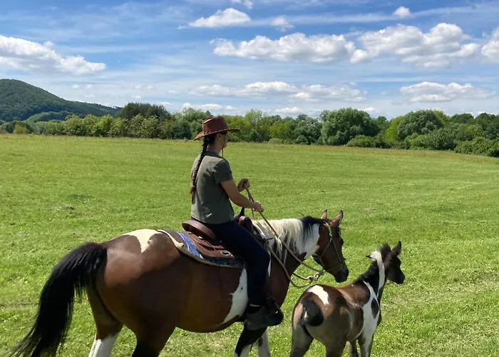 Domek alpejski Ranc Pod Sninskym Kamenom