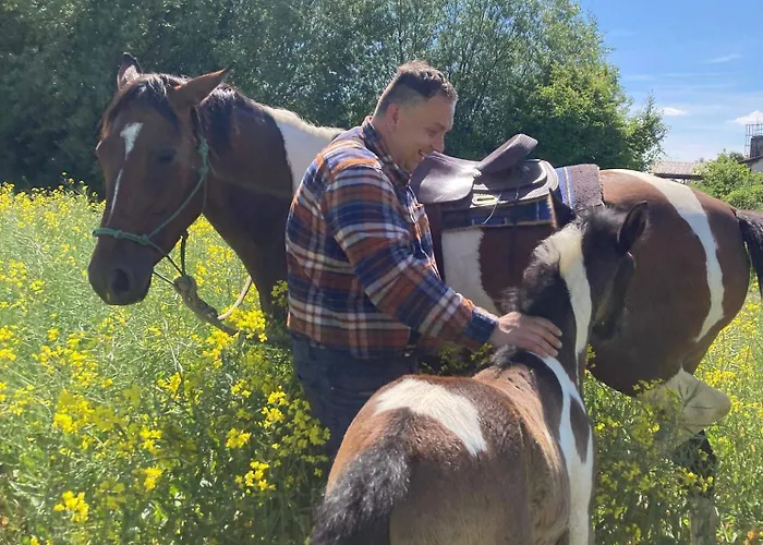 Ranc Pod Sninskym Kamenom Domek alpejski Snina