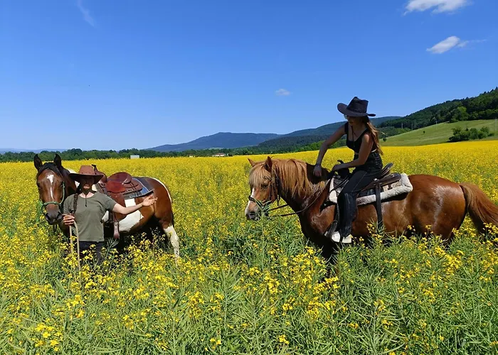 Domek alpejski Ranc Pod Sninskym Kamenom